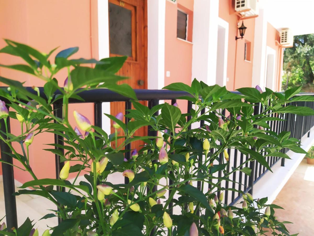 Appart hôtel Aronis