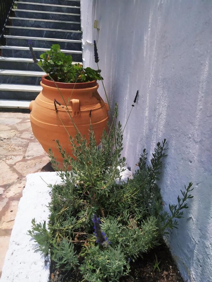 Aronis Appart hôtel 2*